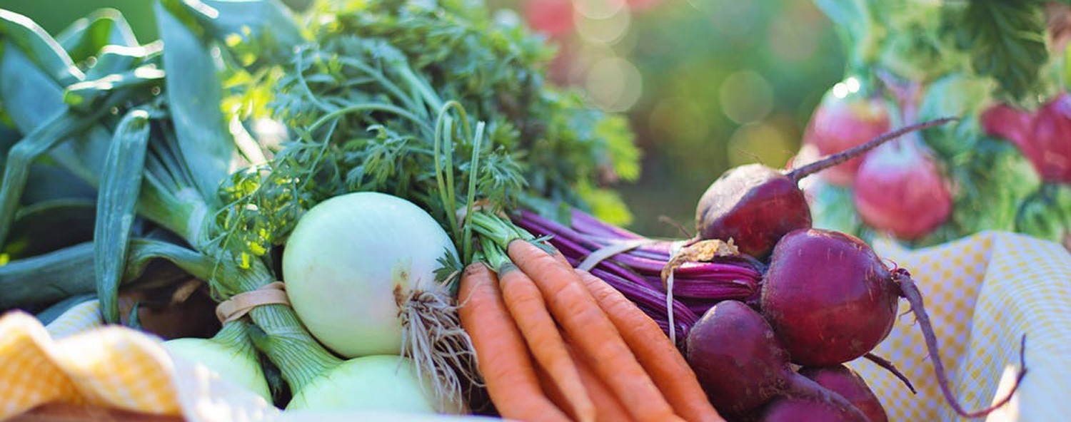 veggies detox spring